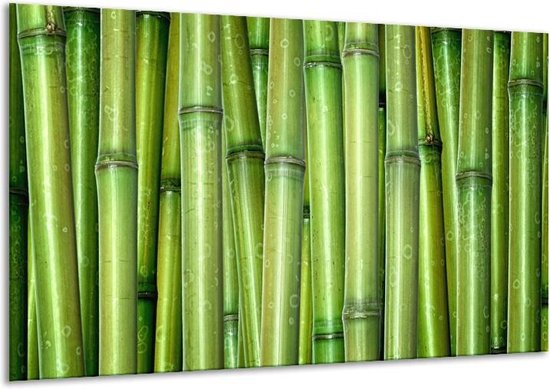 Schilderij Op Canvas Bamboe, Natuur - Groen - 120x70cm 1Luik - Foto Op Canvas - GroepArt 6000+ Schilderijen 0p Canvas Art Collectie - Wanddecoratie - Woonkamer - Slaapkamer - Canvas Print