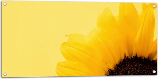 Tuinposter – Gele Bladeren van Zonnebloem tegen Gele Achtergrond - 100x50 cm Foto op Tuinposter (wanddecoratie voor buiten en binnen)