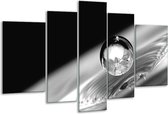 Glasschilderij Macro - Zwart, Grijs, Zilever - 170x100cm 5Luik - Foto Op Glas - Geen Acrylglas Schilderij - 6000+ Glasschilderijen Collectie - Wanddecoratie