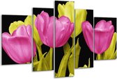 Glasschilderij Tulp - Roze, Geel, Zwart - 170x100cm 5Luik - Foto Op Glas - Geen Acrylglas Schilderij - 6000+ Glasschilderijen Collectie - Wanddecoratie