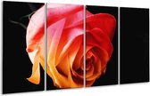 GroepArt - Glasschilderij - Roos - Oranje, Rood, Zwart - 160x80cm 4Luik - Foto Op Glas - Geen Acrylglas Schilderij - 6000+ Glasschilderijen Collectie - Wanddecoratie