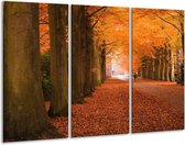 GroepArt - Schilderij -  Herfst - Oranje, Bruin, Groen - 120x80cm 3Luik - 6000+ Schilderijen 0p Canvas Art Collectie