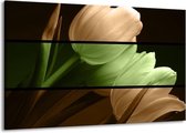 Peinture sur toile Tulipe | Vert, marron, noir | 140x90cm 1 Liège