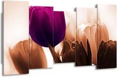GroepArt - Canvas Schilderij - Tulp - Paars, Bruin, Wit - 150x80cm 5Luik- Groot Collectie Schilderijen Op Canvas En Wanddecoraties