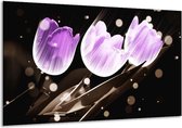 Peinture sur verre tulipe | Violet, gris | 120x70cm 1Hatch | Tirage photo sur verre |  F005106
