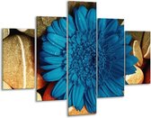 Glasschilderij -  Bloem - Blauw, Oranje, Grijs - 100x70cm 5Luik - Geen Acrylglas Schilderij - GroepArt 6000+ Glasschilderijen Collectie - Wanddecoratie- Foto Op Glas