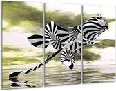 Glasschilderij Roos - Zwart, Wit, Groen - 120x80cm 3Luik - Foto Op Glas - Geen Acrylglas Schilderij - GroepArt 6000+ Glas Art Collectie - Maatwerk Mogelijk