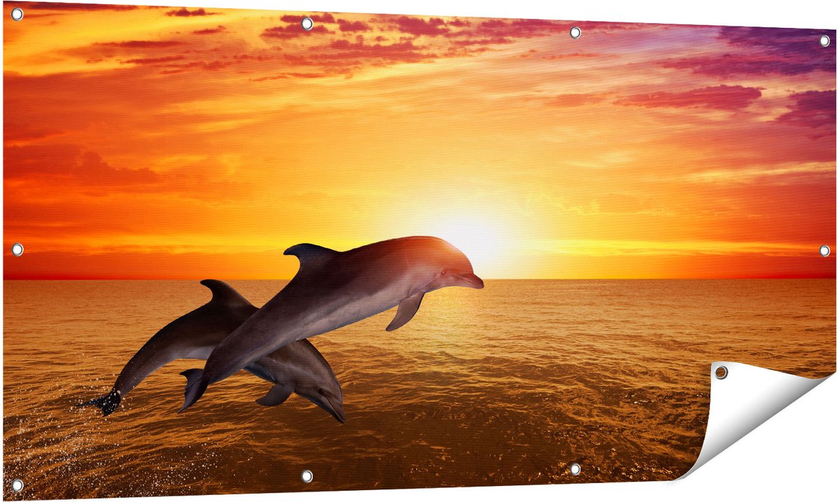 Gards Tuinposter Twee Dolfijnen bij de Zonsondergang - 140x70 cm - Tuindoek - Tuindecoratie - Wanddecoratie buiten - Tuinschilderij Multikleur