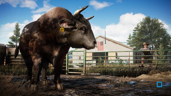 Een grote stier met hoorns en een gele oorclip staat voor een boerderij.