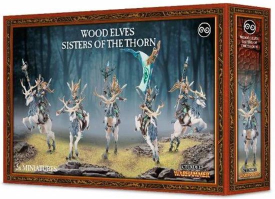 Bol Com Age Of Sigmar Aelves Wanderers Sisters Of The Thorn Wild Riders