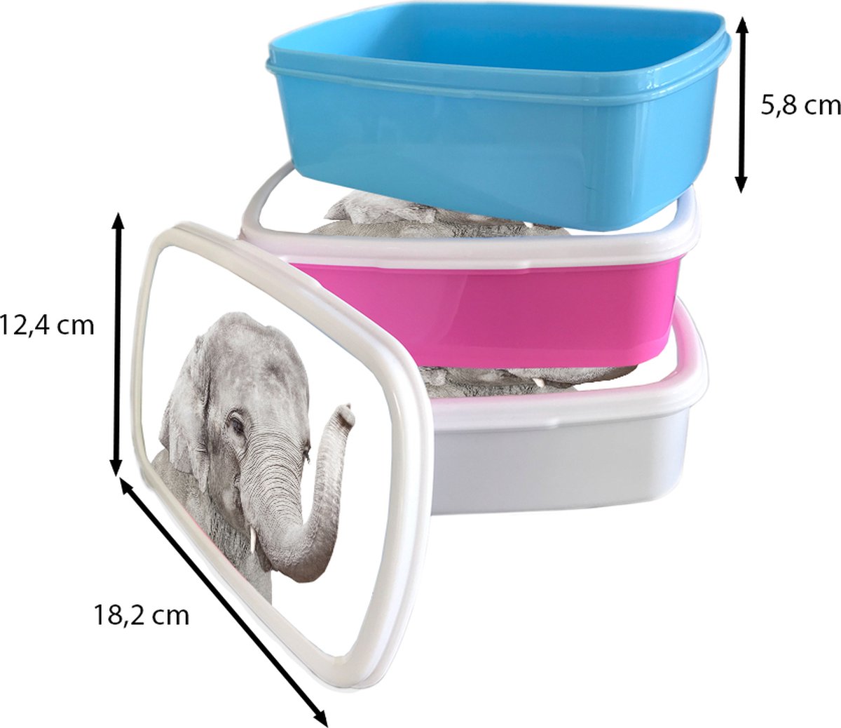 Broodtrommel Wit - Lunchbox - Brooddoos - Olifant - Dieren - Grijs - Natuur - 18x12x6 cm - Volwassenen