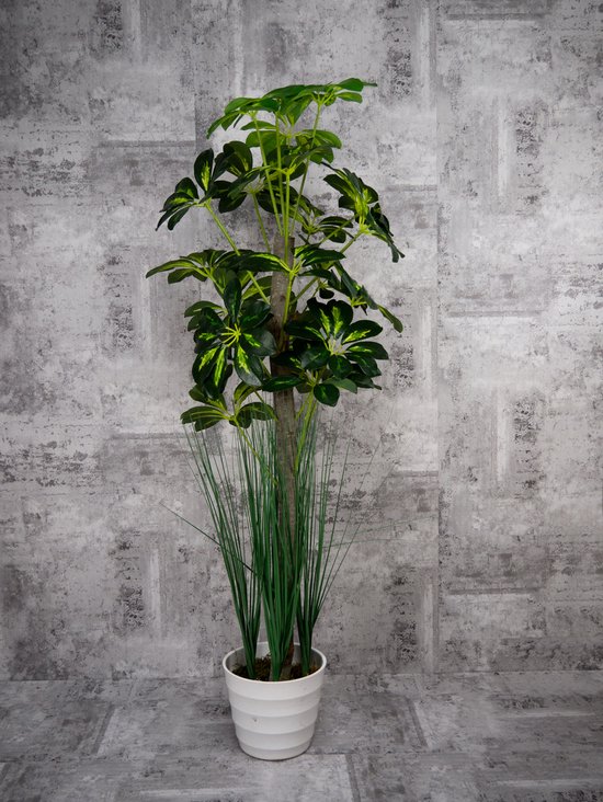 Schefflera - kunstplant - hoogte van 105 cm - inclusief witte pot - Dromist