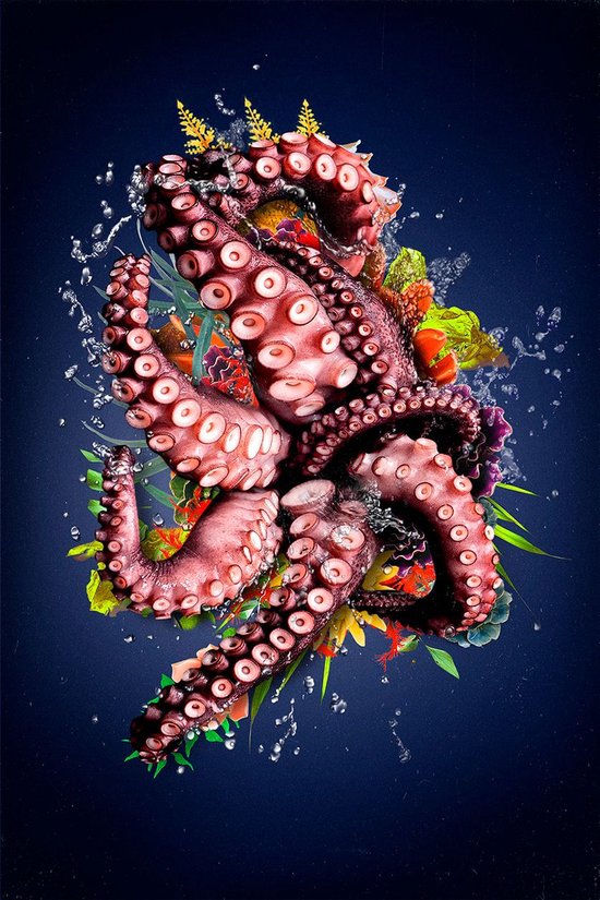 Wonders of the Sea III - 60cm x 90cm - Food Fotokunst op Plexiglas Schilderij - Acrylglas Wanddecoratie Eten Vis Octopus