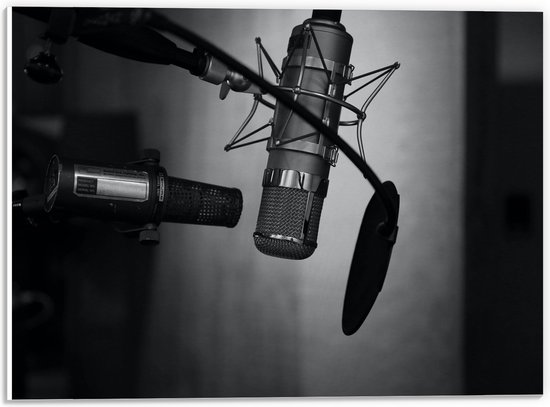 PVC Schuimplaat - Studio Microfoon (Zwart-wit) - 40x30 cm Foto op PVC Schuimplaat (Met Ophangsysteem)