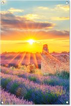 Tuinposter lavendel - Bloemen - Paars - Natuur - Avond - Zon - Tuindecoratie - Tuinschilderij voor buiten - Tuin - Tuindoek - 60x90 cm - Schuttingdoek - Schutting decoratie - Schuttingposter