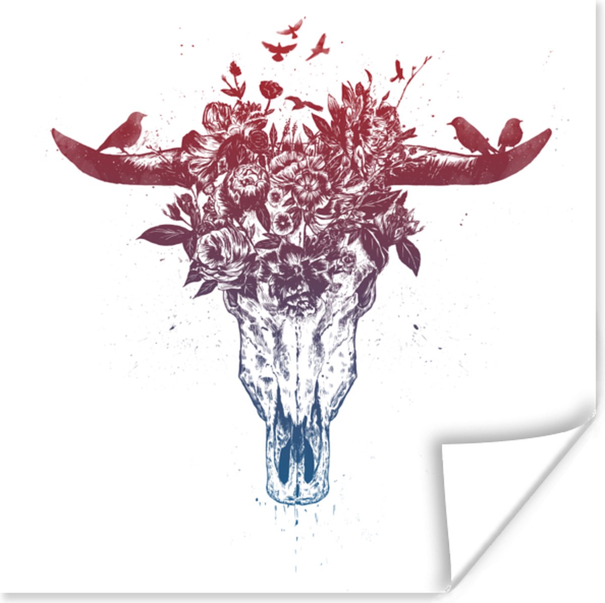 Poster Schedel - Natuur - Vogels - Hoorns - 75x75 cm