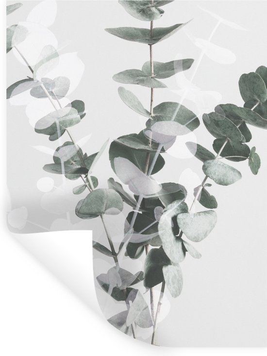 Autocollant Cadre Et Fourche BMX - Vinyle Noir Brillant - Premium Products - Fabriqué à Taïwan