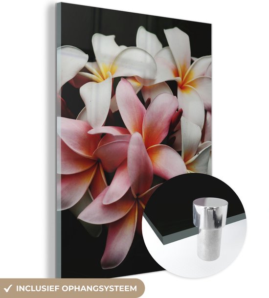 MuchoWow® Glasschilderij 60x80 cm - Schilderij acrylglas - Bloemen - Roze - Zwart - Flora - Botanisch - Foto op glas - Schilderijen