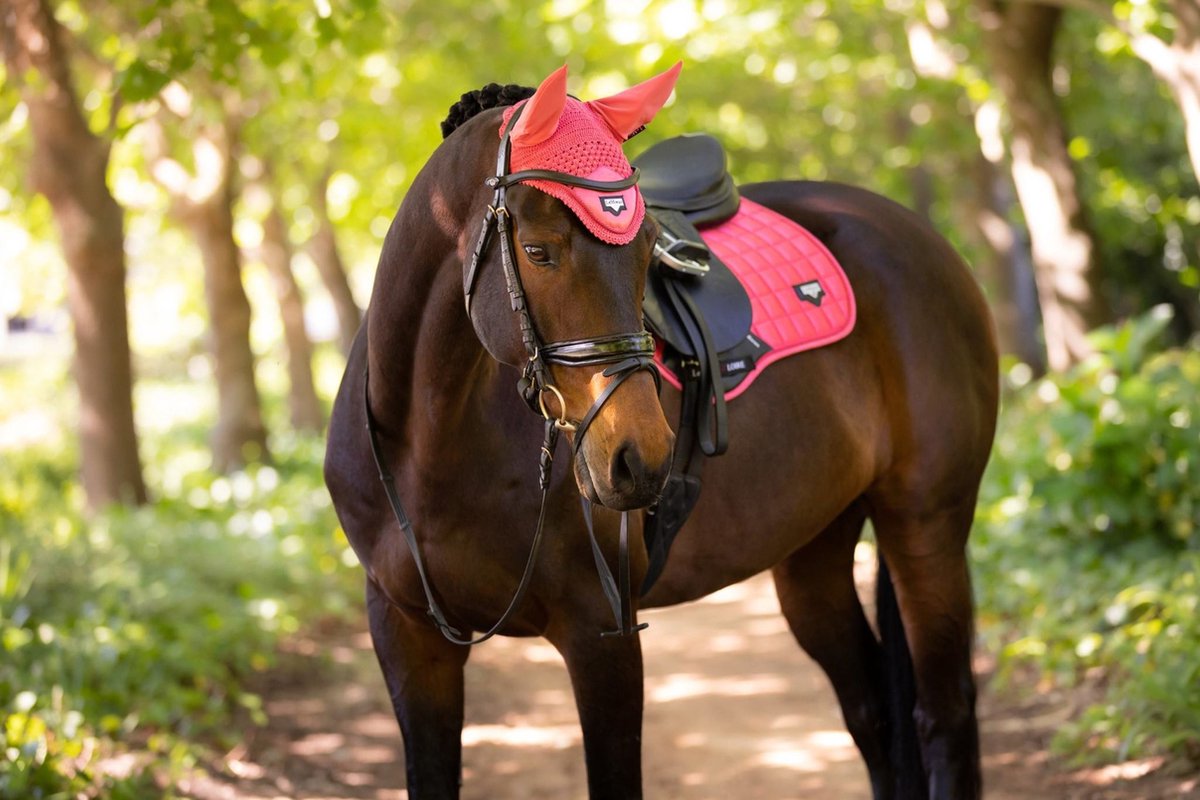 Tapis de Selle Dressage Spectrum Papaya - LeMieux