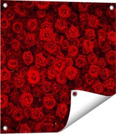 Gards Tuinposter Rode Rozen Achtergrond - 50x50 cm - Tuindoek - Tuindecoratie - Wanddecoratie buiten - Tuinschilderij