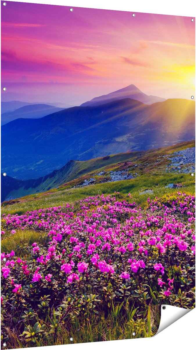 Gards Tuinposter Roze Rhododendron Bloemenveld - Bergen - 120x180 cm - Tuindoek - Tuindecoratie - Wanddecoratie buiten - Tuinschilderij Multikleur