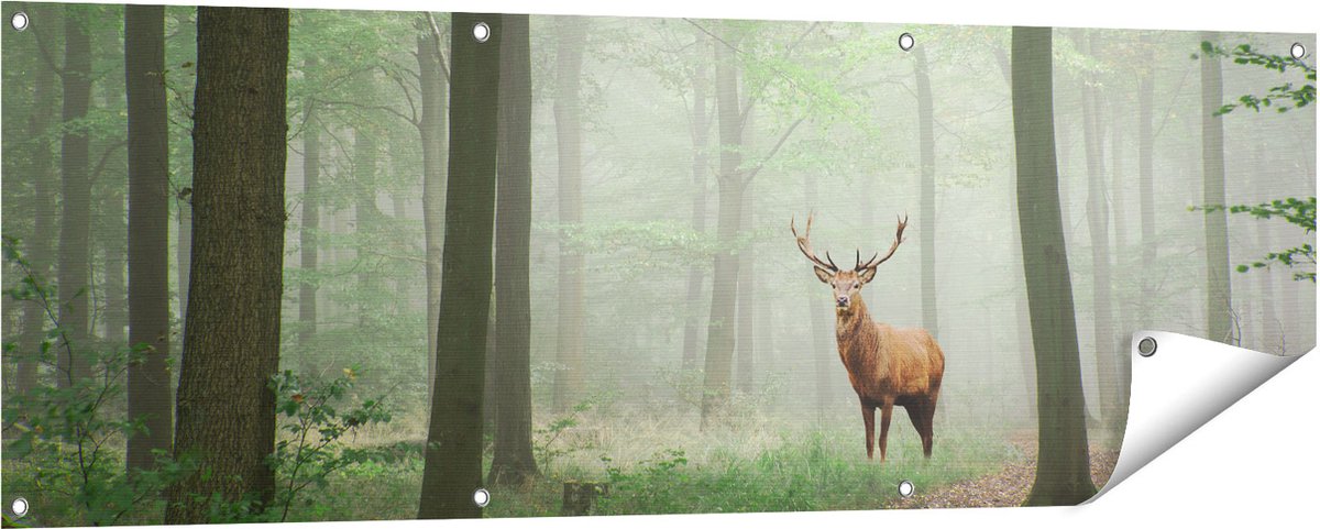 Gards Tuinposter Hert in Bos - 150x50 cm - Tuindoek - Tuindecoratie - Wanddecoratie buiten - Tuinschilderij Multikleur