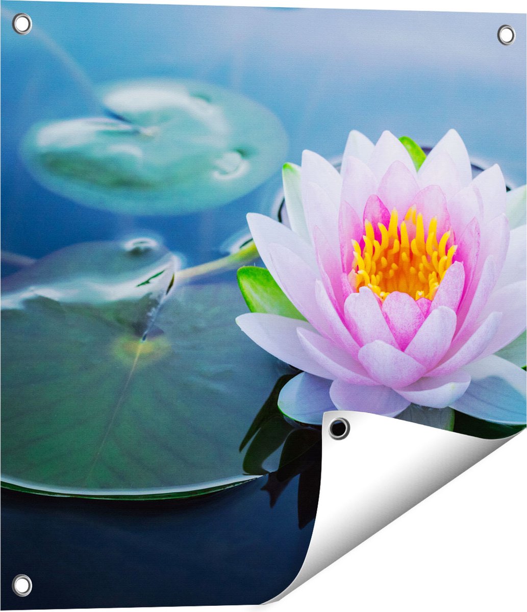 Gards Tuinposter Roze Lotusbloem met Waterlelies - 50x50 cm - Tuindoek - Tuindecoratie - Wanddecoratie buiten - Tuinschilderij Multikleur