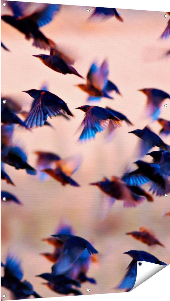 Gards Tuinposter Groep Vliegende Blauwe Spreeuw Vogels - 100x150 cm - Tuindoek - Tuindecoratie - Wanddecoratie buiten - Tuinschilderij Multikleur