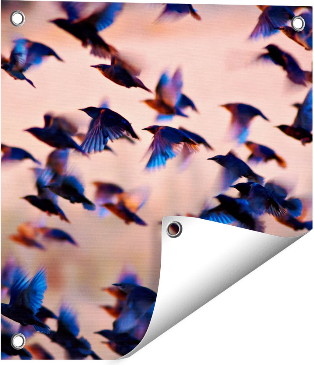 Gards Tuinposter Groep Vliegende Blauwe Spreeuw Vogels - 40x40 cm - Tuindoek - Tuindecoratie - Wanddecoratie buiten - Tuinschilderij Multikleur