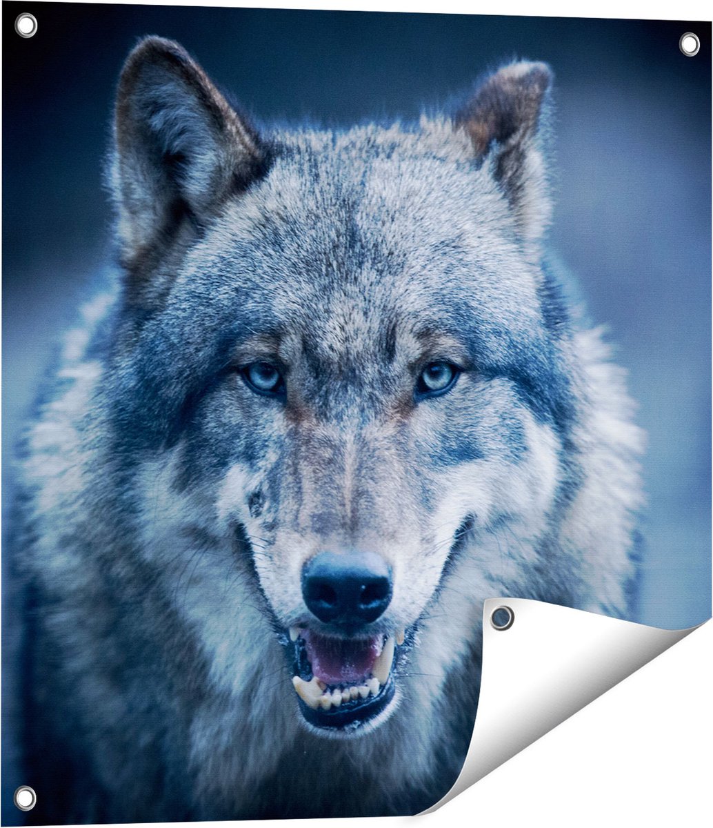 Gards Tuinposter Wolvenkop met Blauwe Ogen - Wolf - 60x60 cm - Tuindoek - Tuindecoratie - Wanddecoratie buiten - Tuinschilderij Multikleur