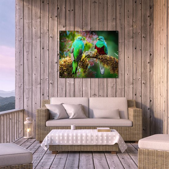 Gards Affiche de jardin Deux Vogels Quetzal verts sur une branche - 100x80 cm - Toile jardin - Décoration de jardin - Décoration murale extérieur - Tableau jardin