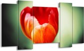 GroepArt - Schilderij - Tulp - Oranje, Rood, Groen - 120x65 5Luik - Foto Op Canvas - GroepArt 6000+ Schilderijen 0p Canvas Art Collectie - Wanddecoratie