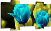 GroepArt - Schilderij - Tulp - Blauw, Zwart, Groen - 120x65 5Luik - Foto Op Canvas - GroepArt 6000+ Schilderijen 0p Canvas Art Collectie - Wanddecoratie