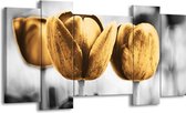 GroepArt - Schilderij - Tulpen - Goud, Wit, Grijs - 120x65 5Luik - Foto Op Canvas - GroepArt 6000+ Schilderijen 0p Canvas Art Collectie - Wanddecoratie