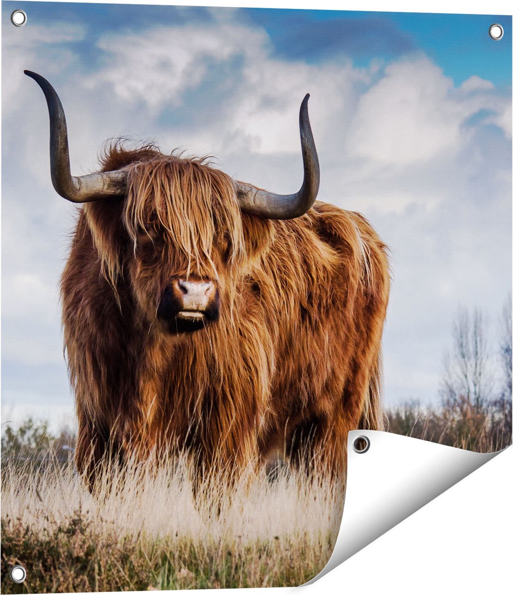 Gards Tuinposter Schotse Hooglander Koe - Kleur - 60x60 cm - Tuindoek - Tuindecoratie - Wanddecoratie buiten - Tuinschilderij Multikleur