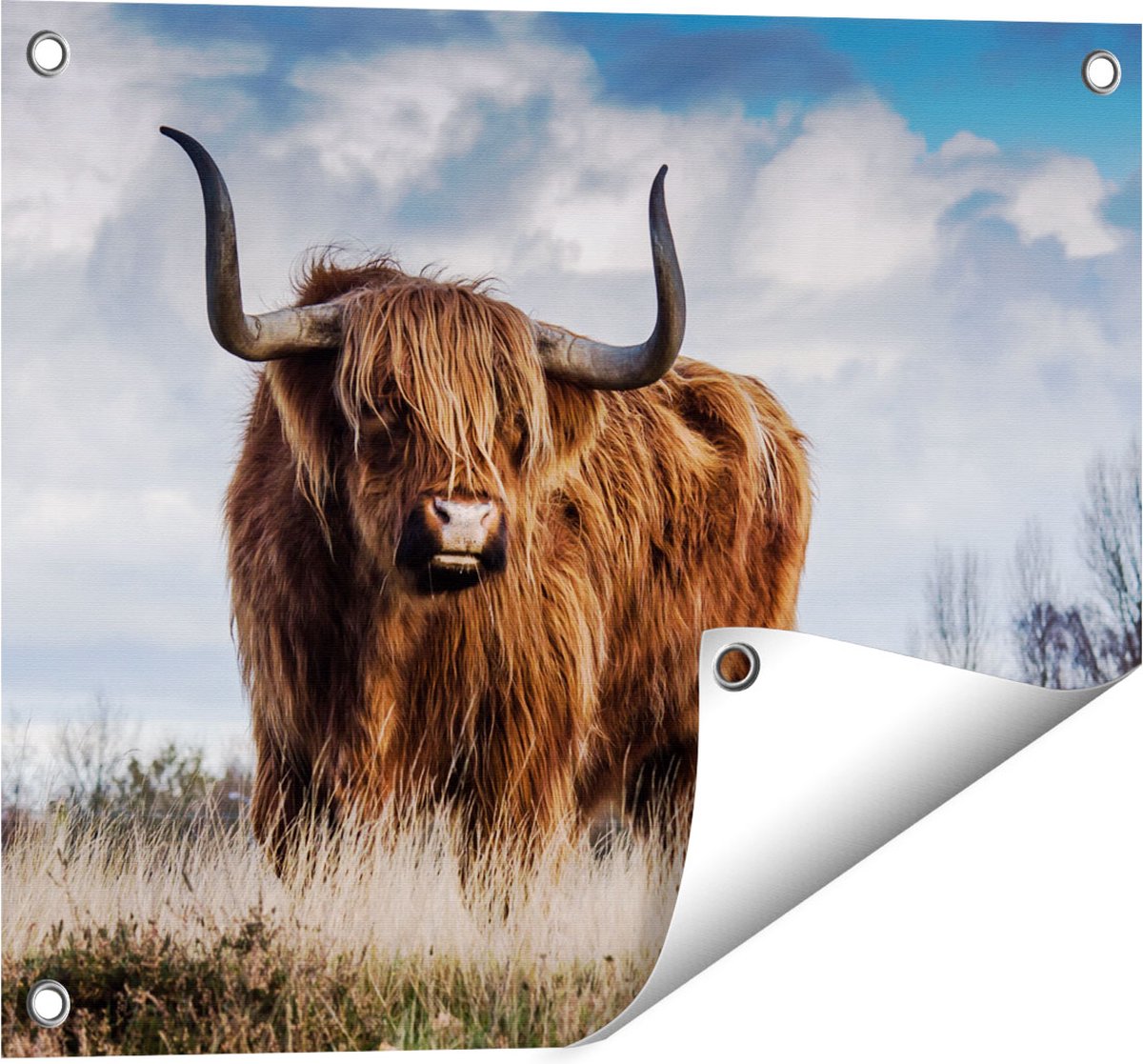 Gards Tuinposter Schotse Hooglander Koe - Kleur - 50x40 cm - Tuindoek - Tuindecoratie - Wanddecoratie buiten - Tuinschilderij Multikleur