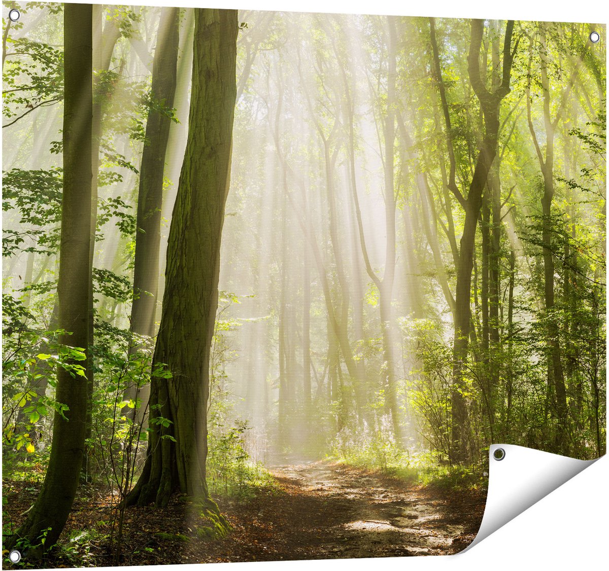 Gards Tuinposter Bos met Bomen en Zonneschijn - 100x80 cm - Tuindoek - Tuindecoratie - Wanddecoratie buiten - Tuinschilderij Multikleur