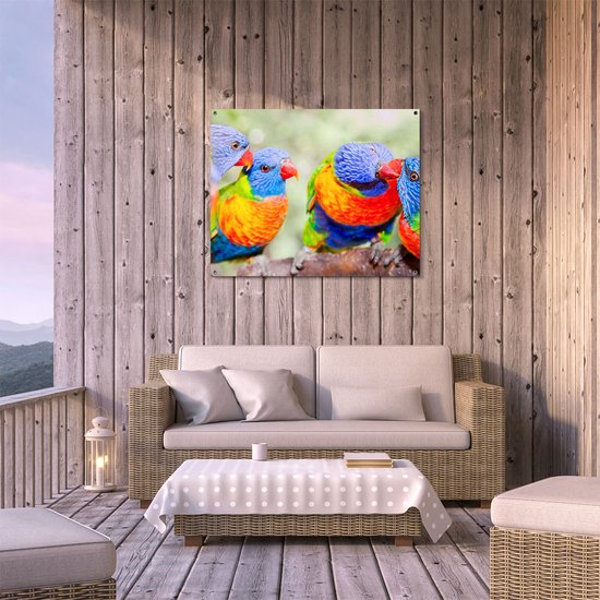 Gards Poster de jardin Quatre Vogels Lori arc-en-ciel sur une branche - 100x80 cm - Toile de jardin - Décoration de jardin - Décoration murale extérieure - Peinture de jardin