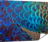 Gards Poster de jardin Plumes de paon colorées de près - 120x90 cm - Toile de jardin - Décoration de jardin - Décoration murale extérieure - Peinture de jardin