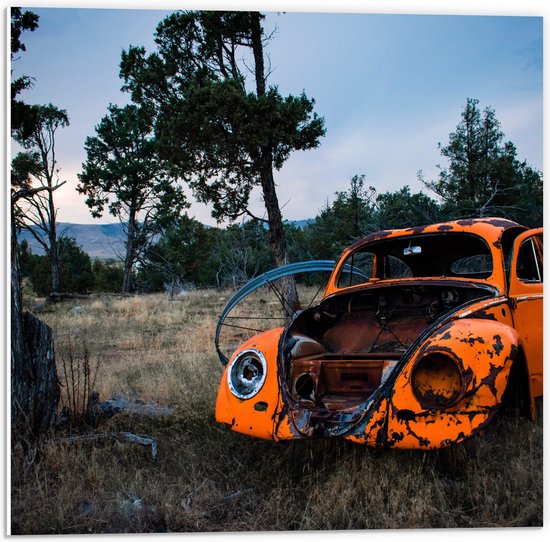 PVC Schuimplaat- Kapotte Oranje Auto in landschap - 50x50 cm Foto op PVC Schuimplaat