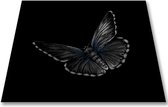 Papillon Inductie Beschermer - Antislip Afdekmat - 60x60 - Vlinder Zwart-Wit