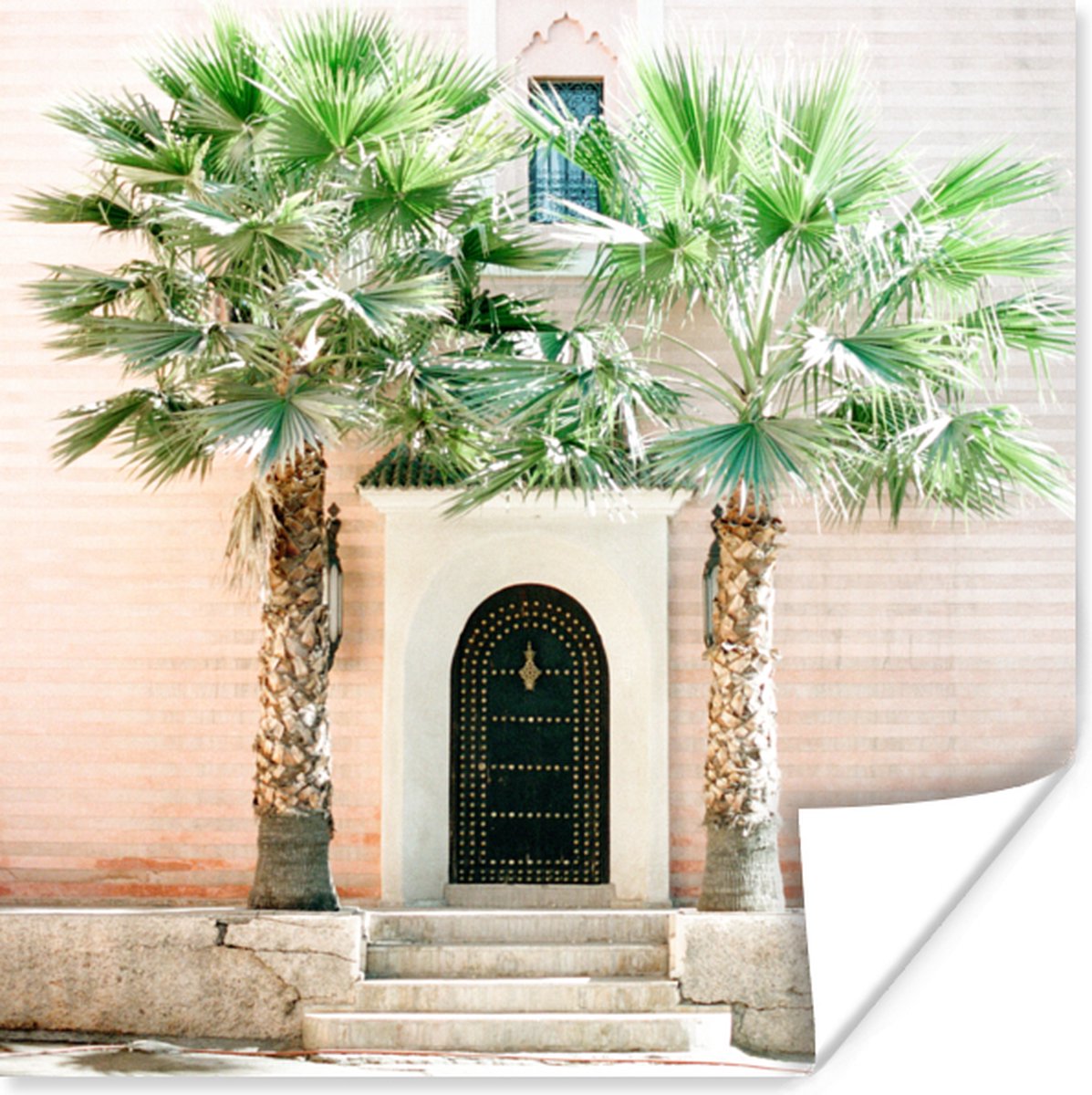 Deur - Marrakesh - Palmboom - Wit - Tropisch