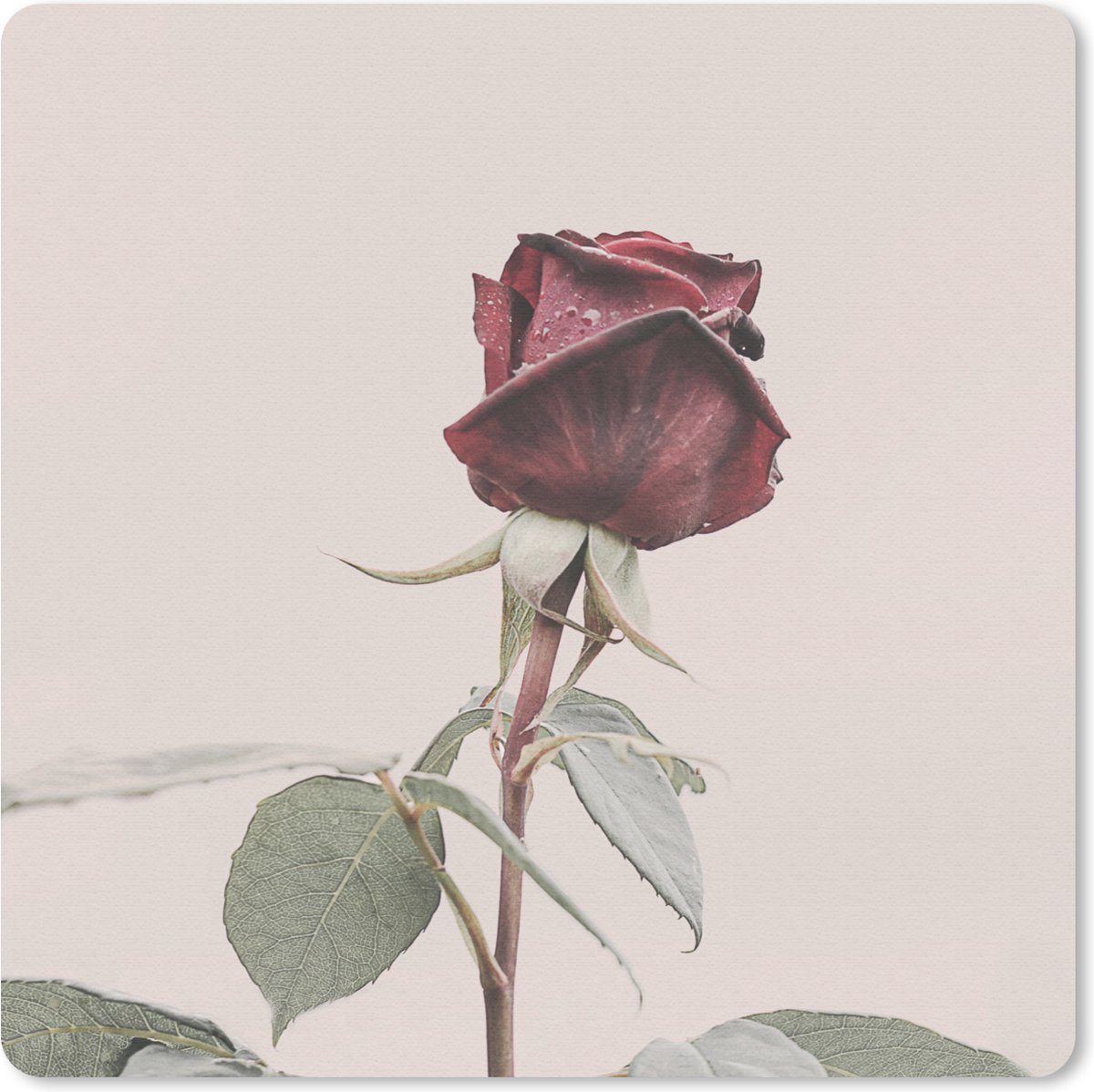 Muismat 20x20 cm - Mousepad Bloemen - Rood - Rozen - Groen - Muismatten
