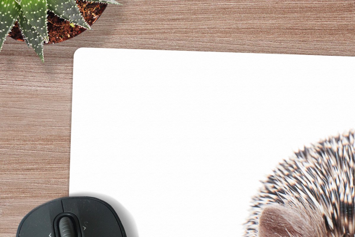 Muismat XXL 100x50 cm - Bureau onderlegger - Bureau mat Egel - Dieren - Natuur - Wit - Bureaumat - Gaming mousepad xl - Bureaulegger groot - Computer deskmat