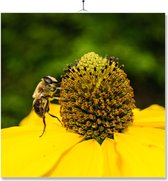 Carrelage Avec Impression | Cadeau | Cadeau d'anniversaire | Abeille