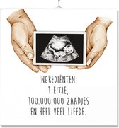 Tegel Met Opdruk | Kado | Cadeau | Zwangerschap bekend maken | Ingredienten - 1 eitje - 100.000.000 zaadjes en heel veel liefde