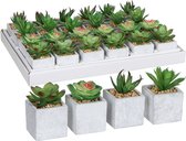 Decoratieve plant Mica Decorations 8 x 5 cm PVC Vetplant