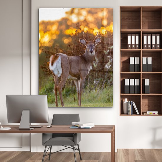 Peinture sur verre - Verre acrylique - Cerf - Bruyère - Nature - Coucher de soleil - Peinture sur verre - Photo sur verre - Décoration murale - 120x160 cm - Peinture sur verre animaux - Décoration murale