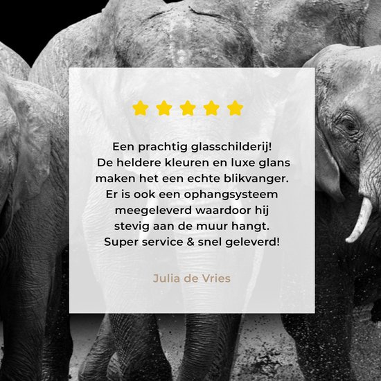 MuchoWow® Glasschilderij 180x120 cm - Schilderij acrylglas - Olifant - Zwart - Wit - Dieren - Foto op glas - Schilderijen
