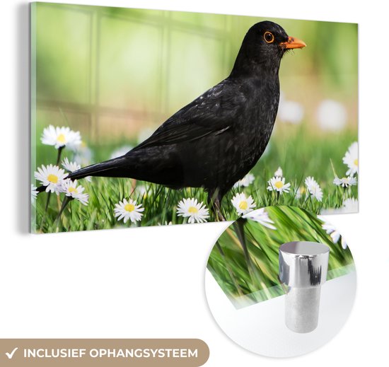 Glasschilderij - Foto op glas - Acrylglas - Vogel - Merel - Bloemen - Landschap - 120x60 cm - Glasschilderij bloemen - Wanddecoratie glas - Glasschilderij vogels - Muurdecoratie dieren